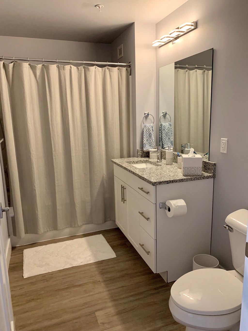 a bathroom with a sink and a toilet and a shower