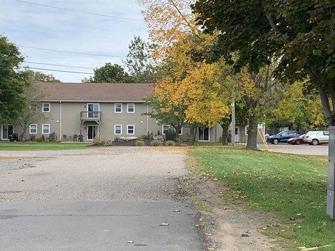 A tree with yellow leaves is in front of a grey building.