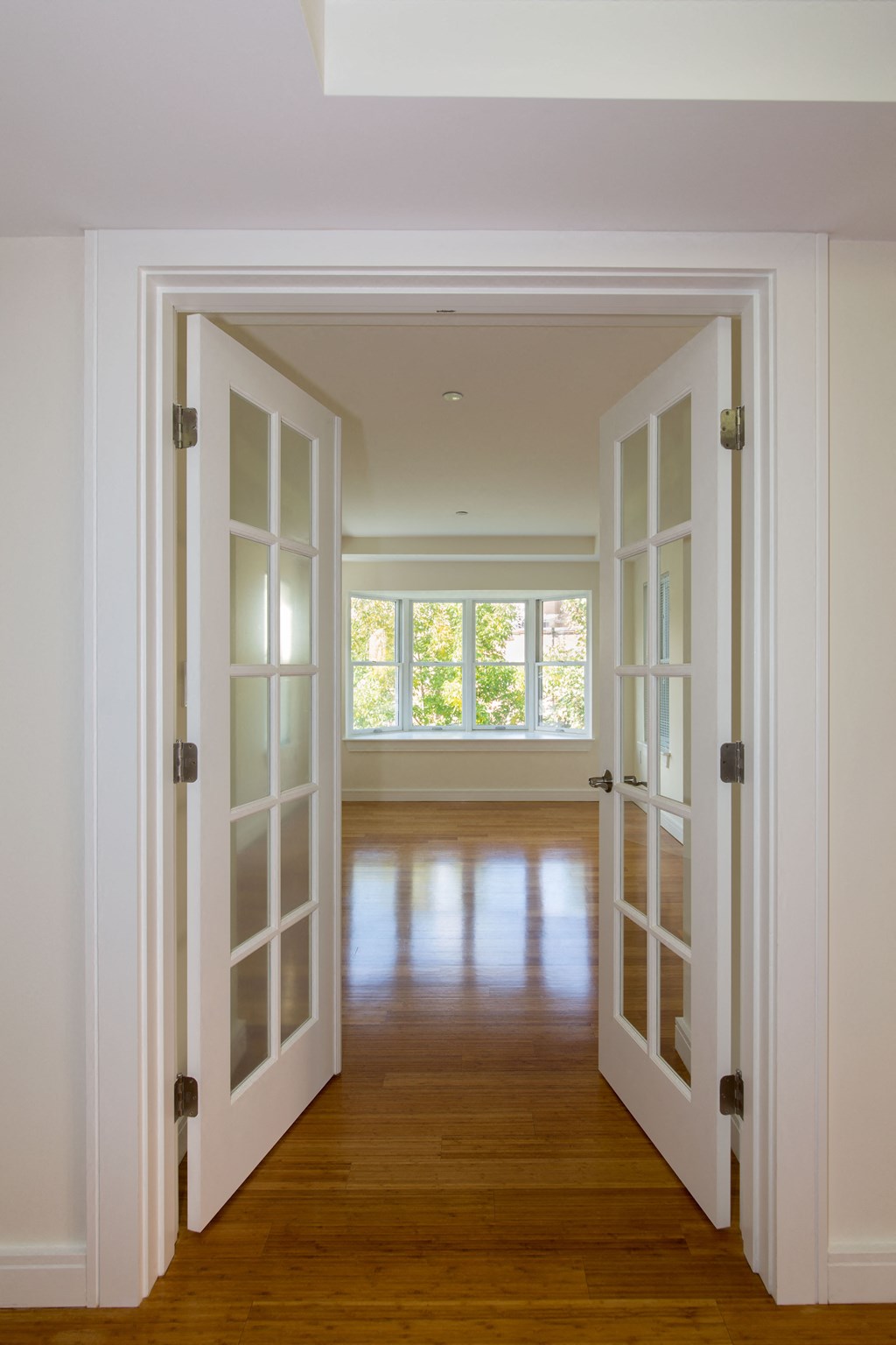 Bright Picture Windows at Marion Square, Brookline