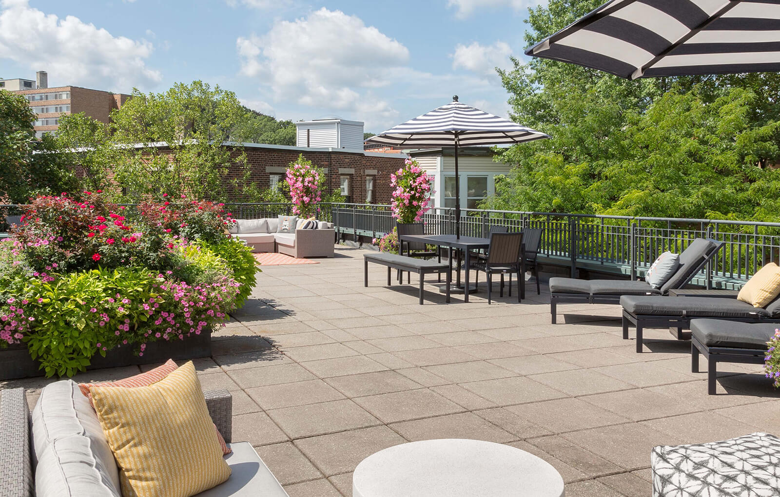 Apartments in Brookline, MA Marion Square Apartments