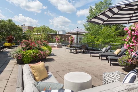 Stylish Roof Deck at Marion Square, Brookline, MA