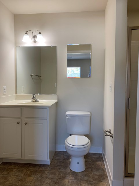 a bathroom with a toilet and a sink and a mirror