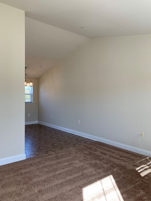A room with a carpeted floor and a window letting in natural light.