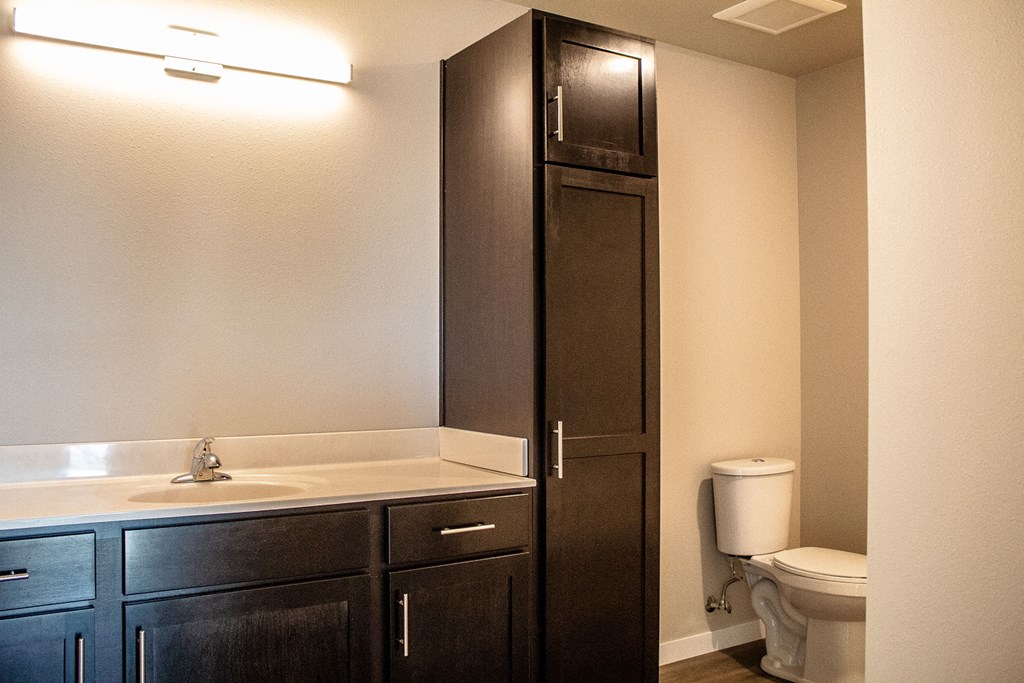 a bathroom with a sink and a toilet
