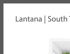 The Lantana