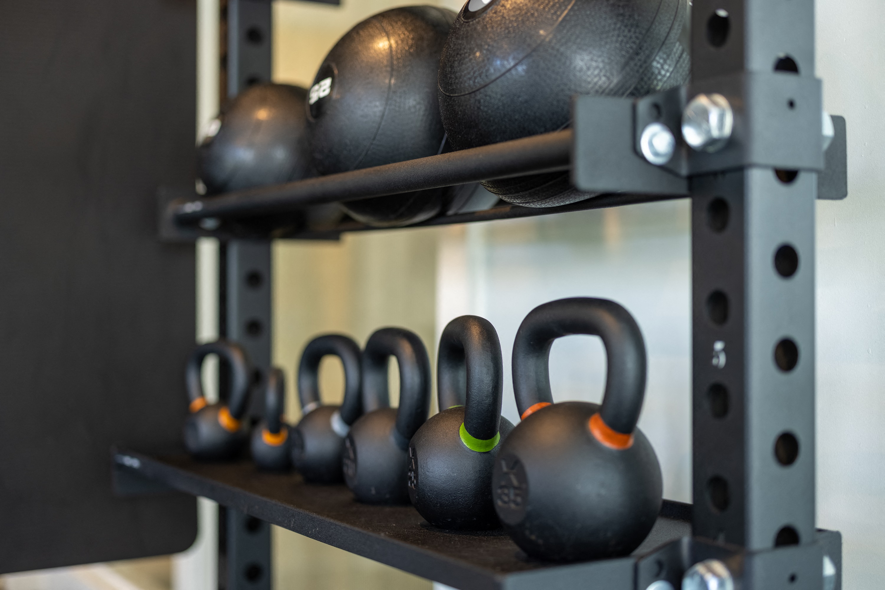 a row of dumbbells on a shelf in a gym
