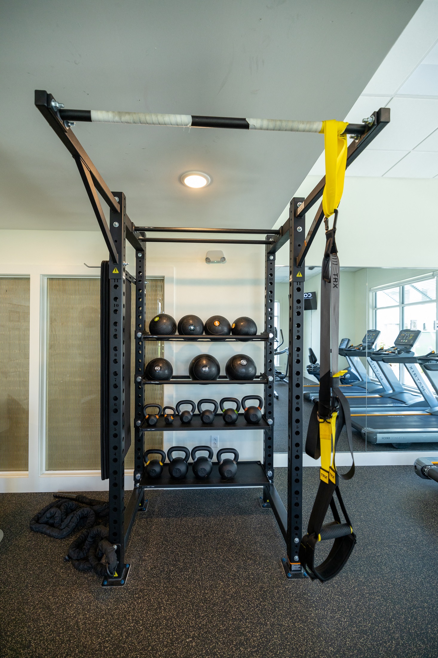 a gym with weights and cardio equipment in a home gym