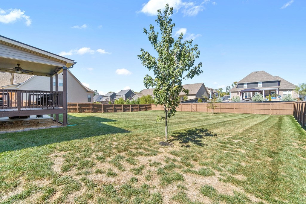 a backyard with a tree and a wooden fence