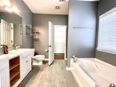 a bathroom with a tub and a toilet and a sink