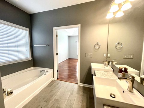 a bathroom with a sink and a bath tub and a mirror