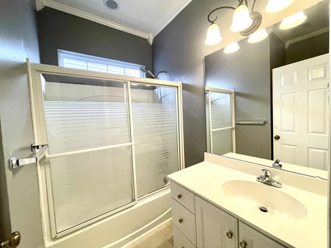 a bathroom with a sink and a shower and a mirror