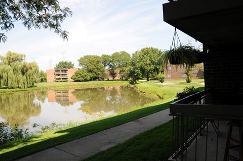 A pond in a park with a building in the background.