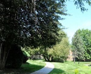 21W547 North Avenue 1-2 Beds Apartment for Rent - Photo Gallery 4