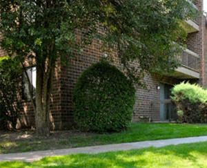 21W547 North Avenue 1-2 Beds Apartment for Rent - Photo Gallery 3