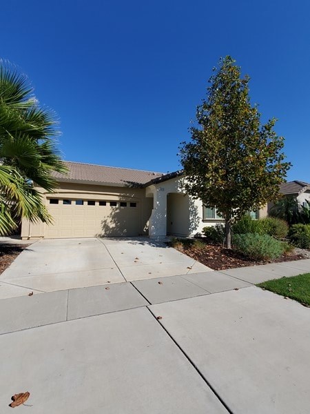 A house with a driveway and a tree in front.