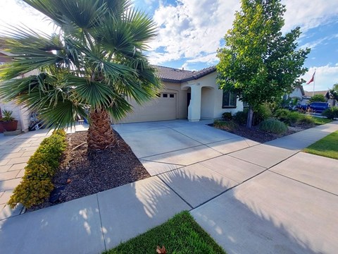A house with a driveway and a palm tree in front.