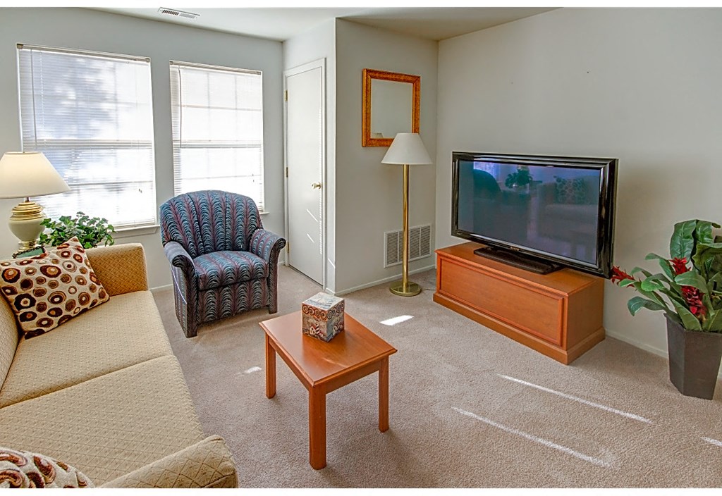 a living room with a couch and a television
