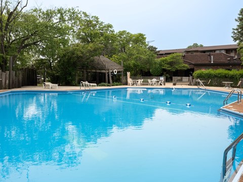 A large blue swimming pool surrounded by trees and a building in the background.