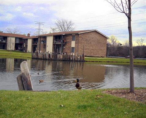 a duck standing next to a pond in front of a building