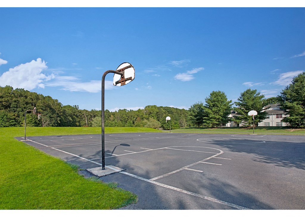 a basketball court in a park on a sunny day