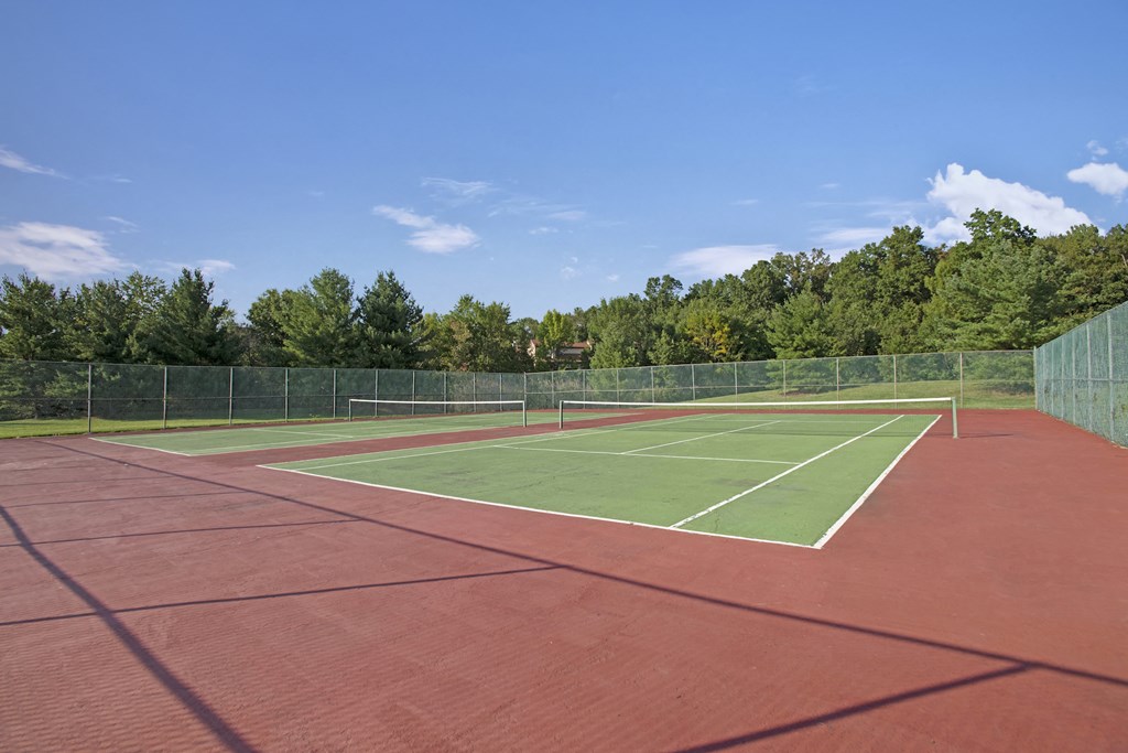 a tennis court with a fence and trees in the background