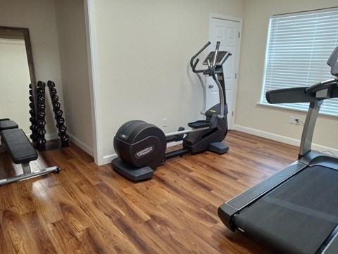 A home gym with a treadmill, a stationary bike, a rowing machine, and a dumbbell set.