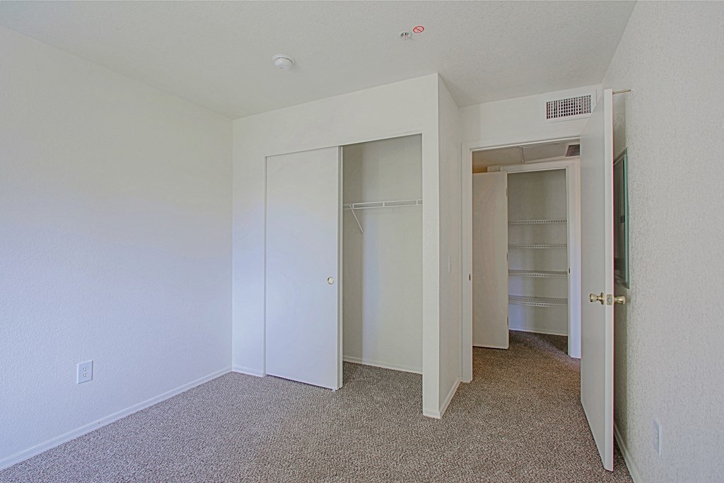 a bedroom with a closet and a door to a closet