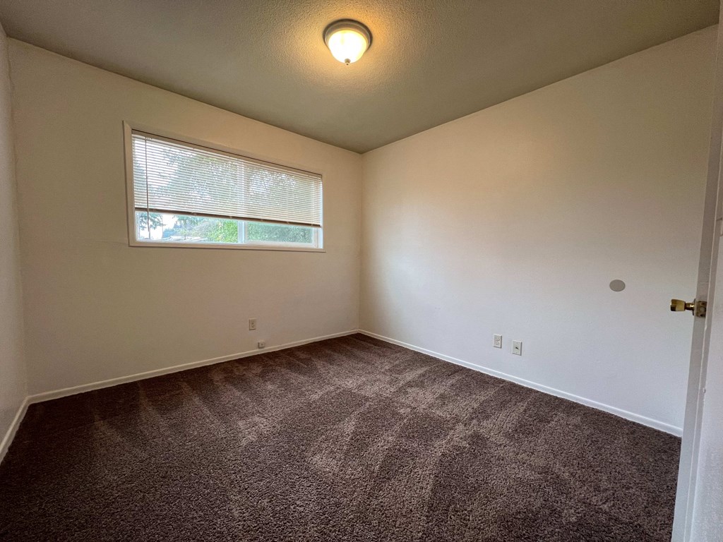 an empty living room with carpet and a window