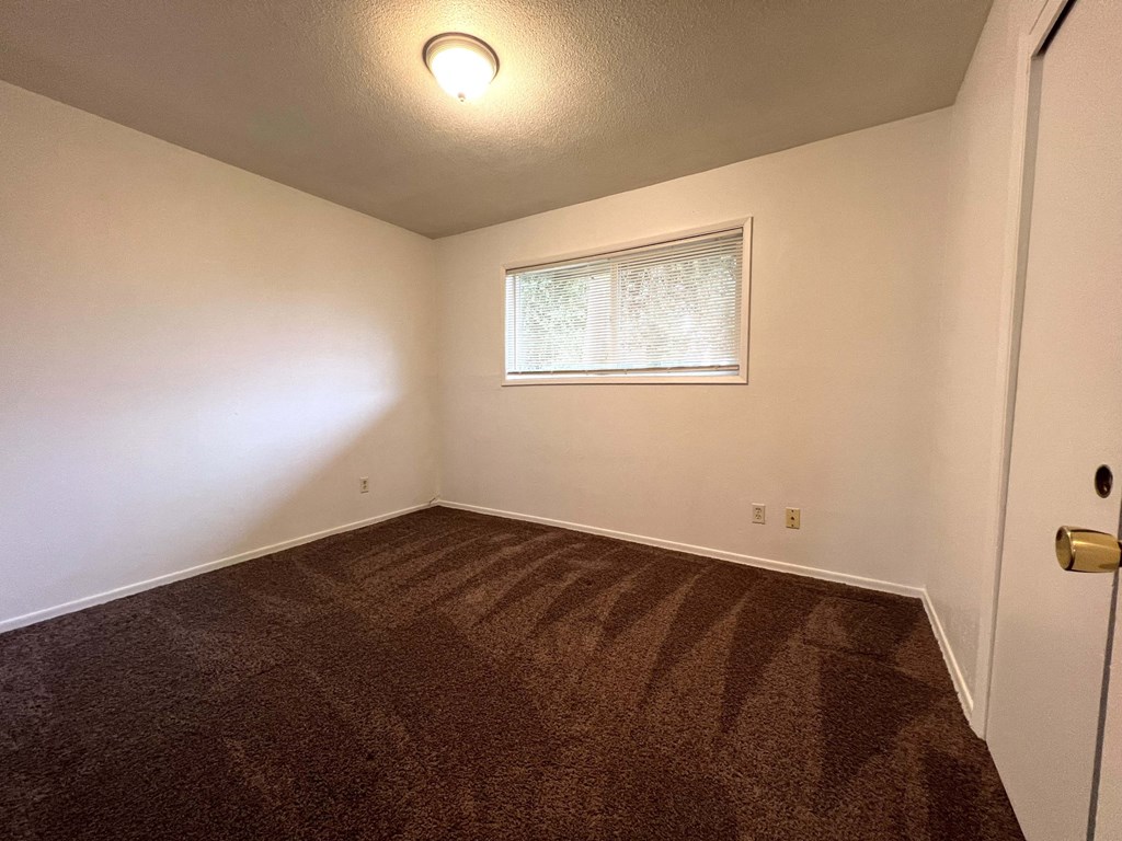 an empty room with carpet and a window