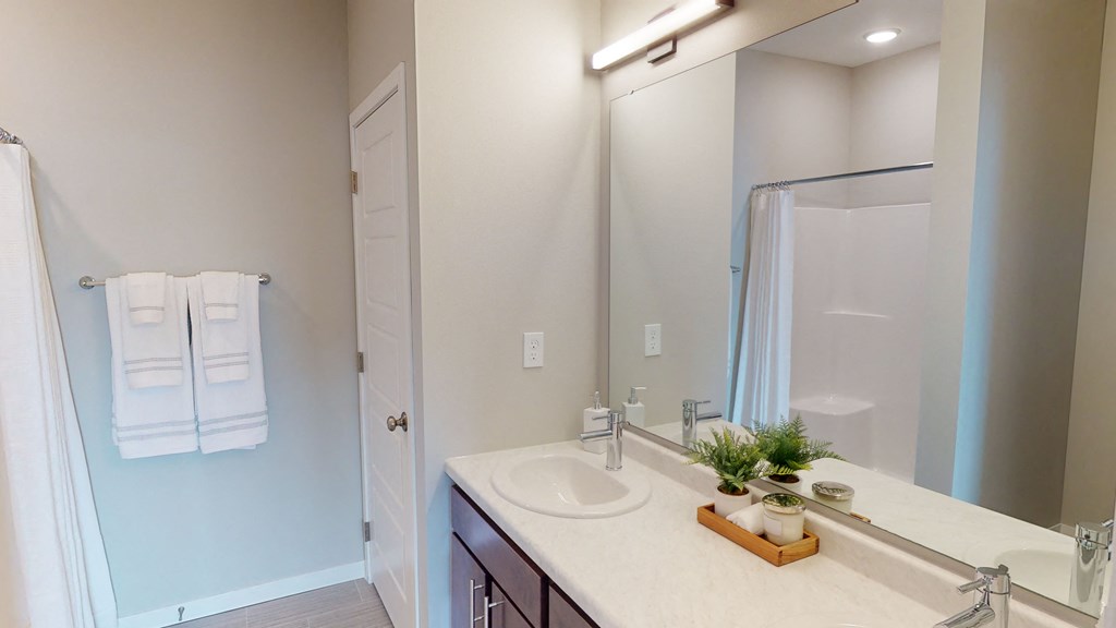 a bathroom with a sink and a shower and a mirror