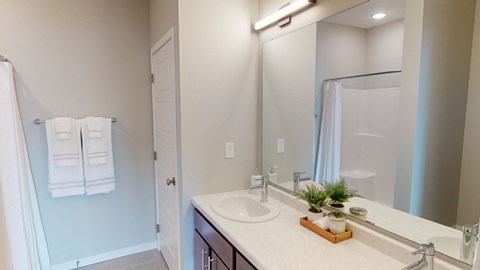a bathroom with a sink and a shower and a mirror