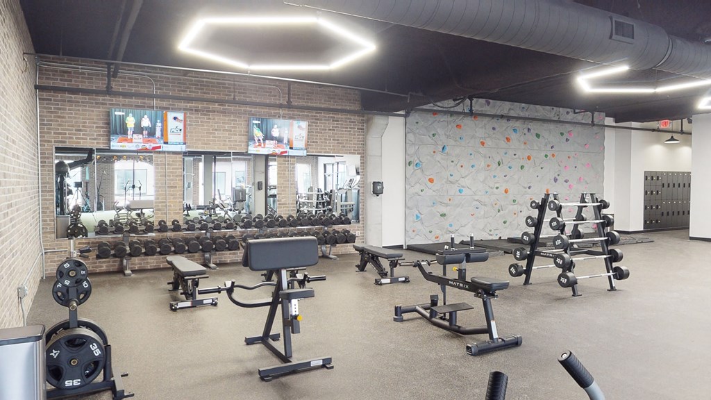 a workout room with weights and a rock climbing wall