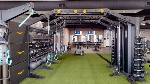 a gym with a lot of weights and equipment on a green carpet
