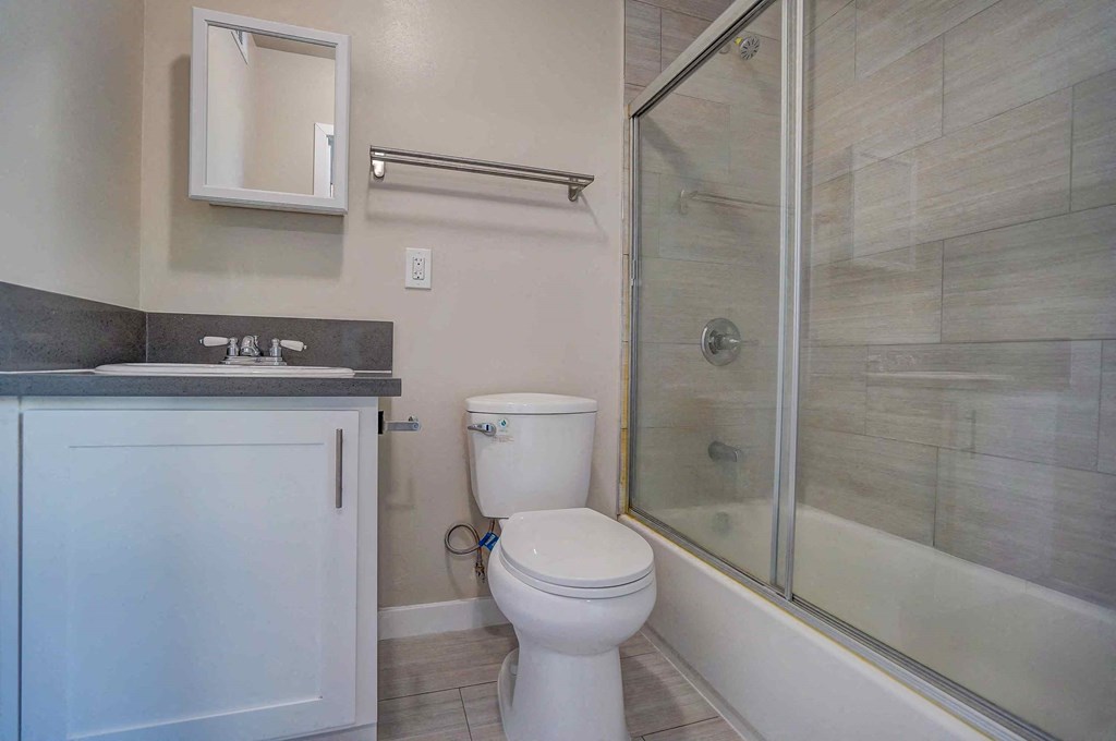 a bathroom with a shower and a toilet and a sink