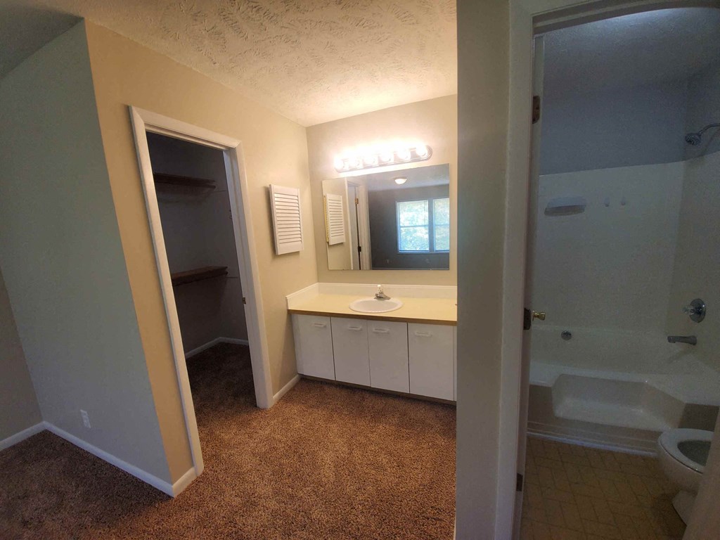 a bathroom with a sink toilet and a mirror