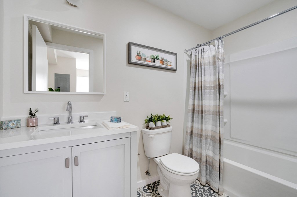 a white bathroom with a shower toilet and sink