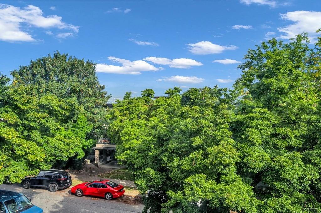 A red car is parked in a driveway surrounded by green trees.
