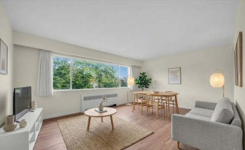 A living room with a grey couch, a wooden coffee table, a television, and a window with a view of trees.