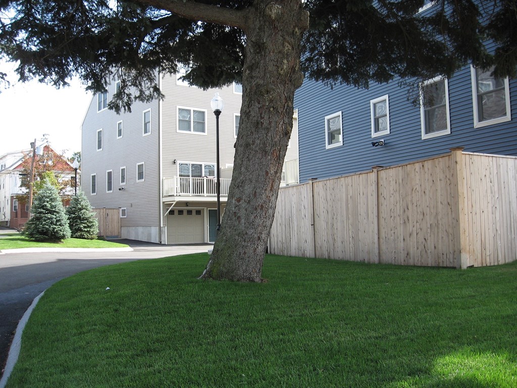 a view of a yard with a tree and a fence