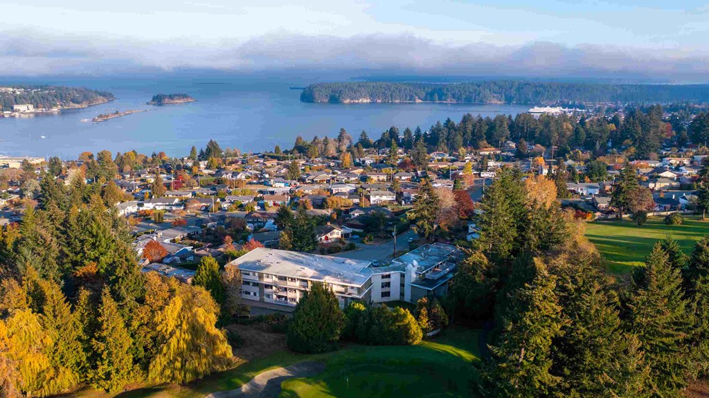 an aerial view of a city with a lake and trees