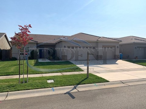 A residential area with houses and a tree with red leaves.