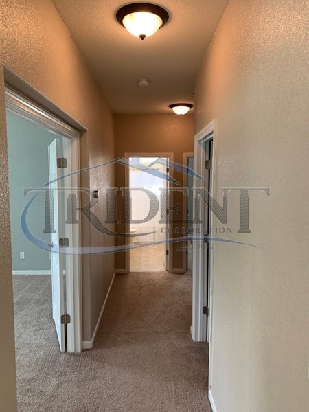 A hallway with a carpeted floor and white walls.