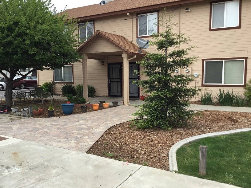A small tree is in a mulched area in front of a house.