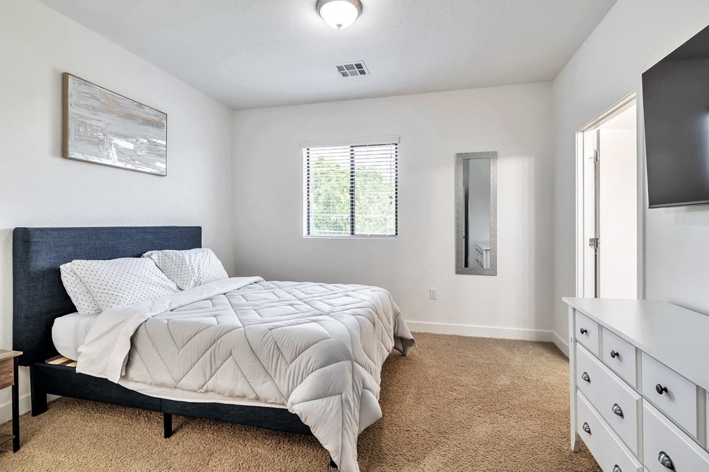 a bedroom with a bed and a tv