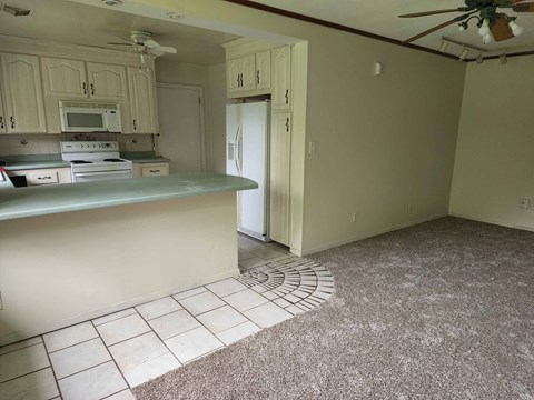 a kitchen with a counter and a refrigerator
