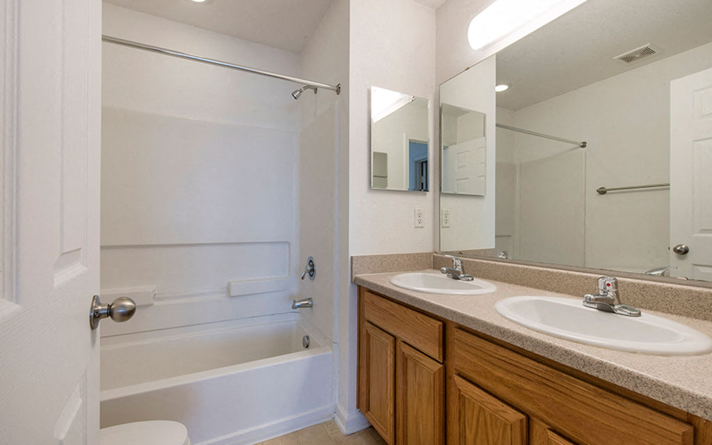 a bathroom with two sinks and a shower and a mirror