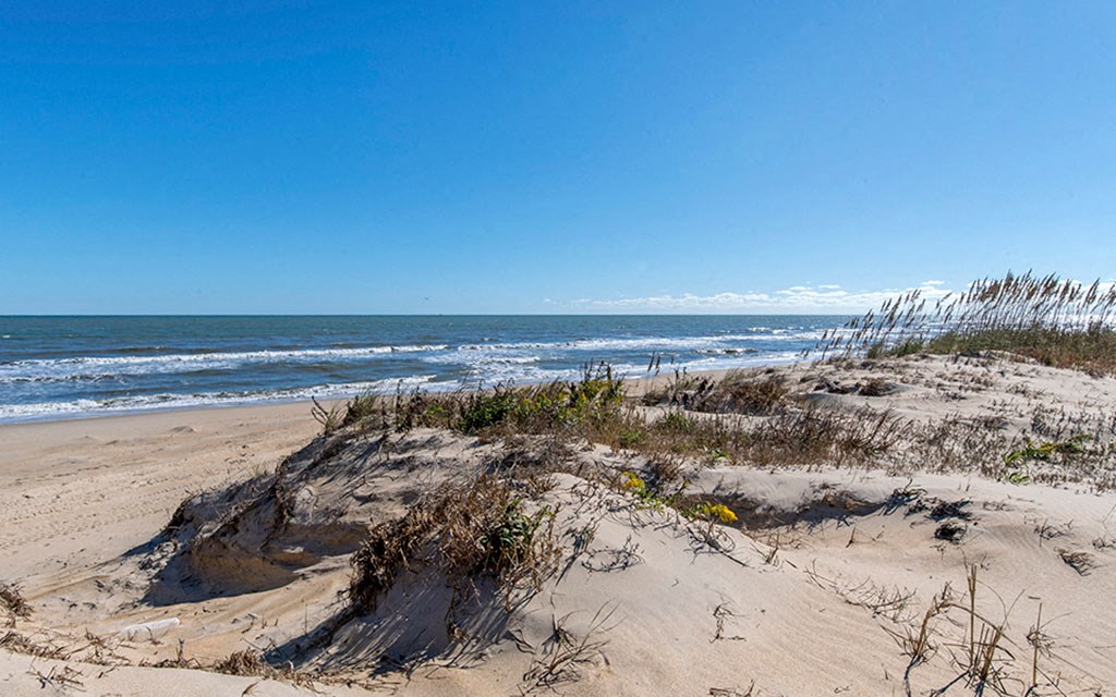 a view of the beach and the ocean