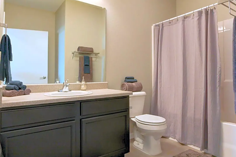 a bathroom with a sink toilet and a shower