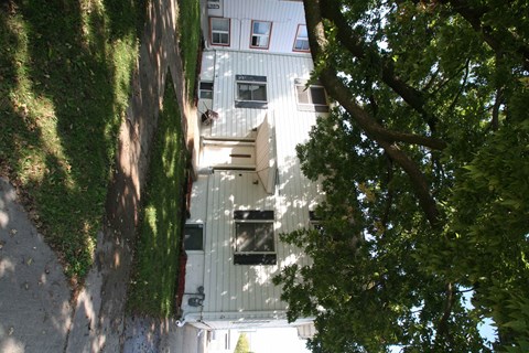 A tree is in front of a white building.