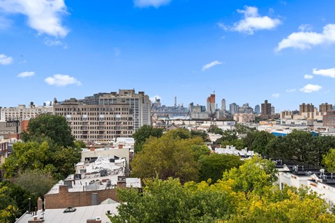 122 Vanderbilt Ave 1-2 Beds Apartment for Rent